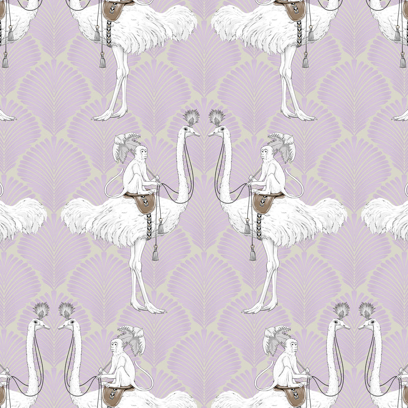 PARADISE FABRIC